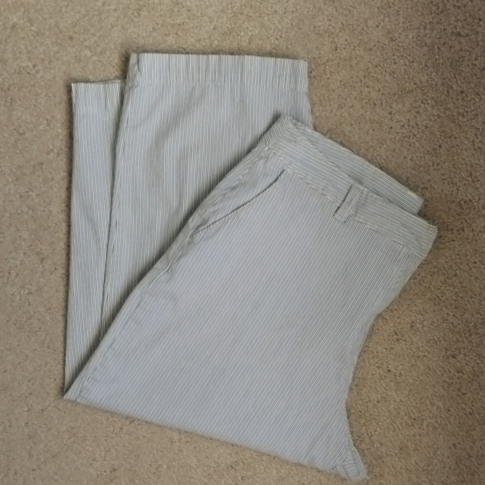 Classic elements capris size 10